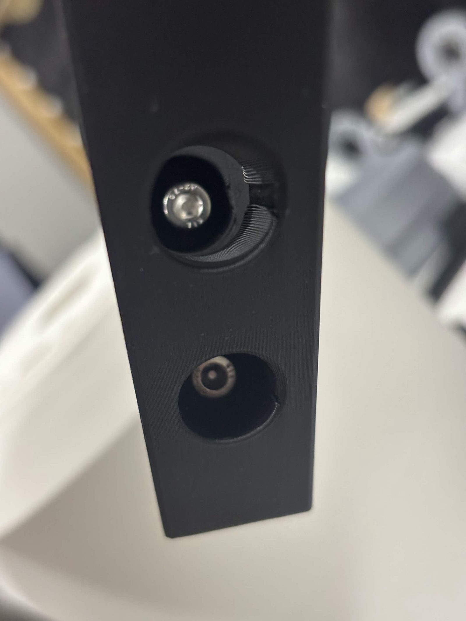 Looking down the mount's two counterbored holes at the button heads of the screws sitting in them