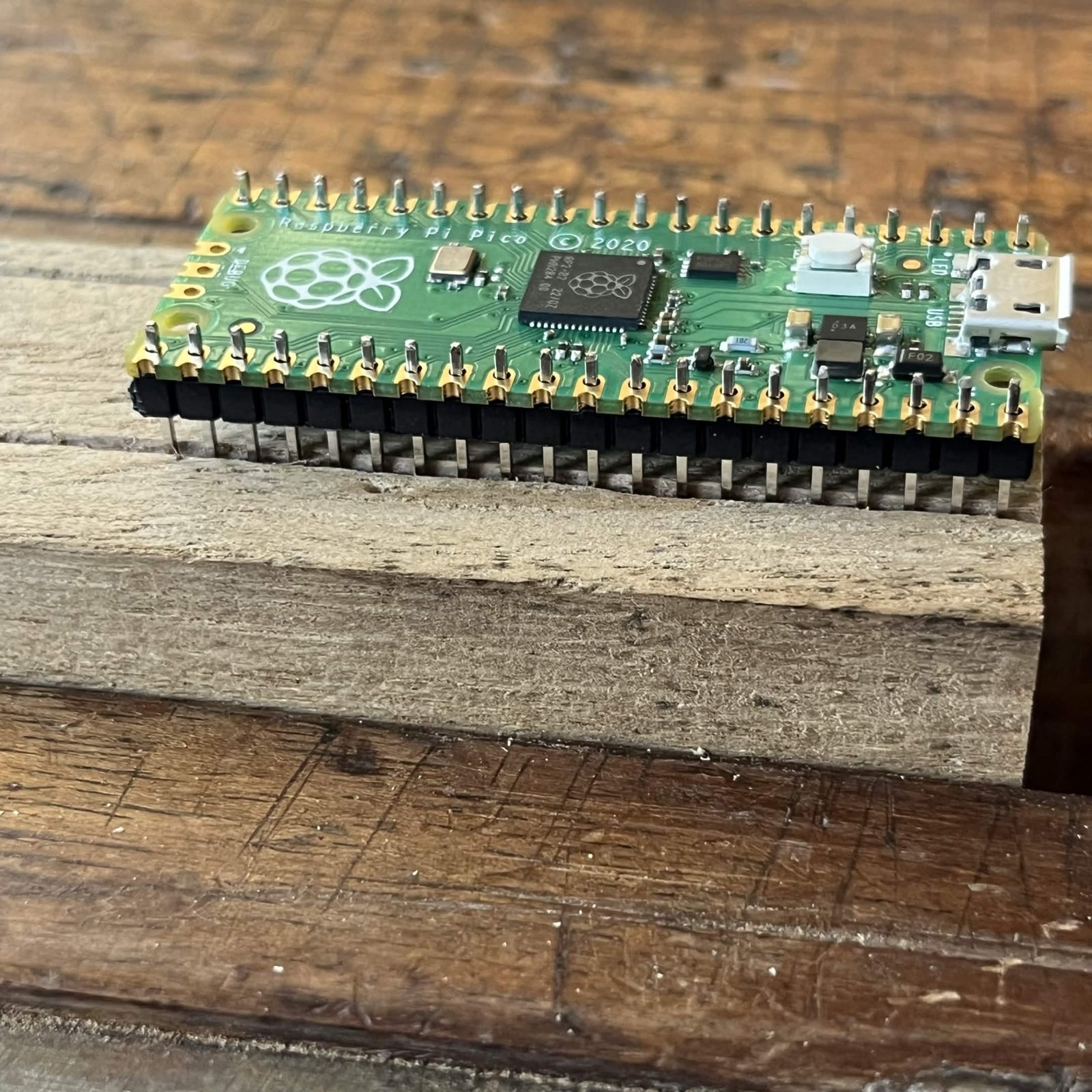 A side view of a Raspberry Pi Pico chip side up with a row of twenty header pins pushed into each long edge, both rows of black plastic flat against the underside, the pads still bare gold with no solder on them