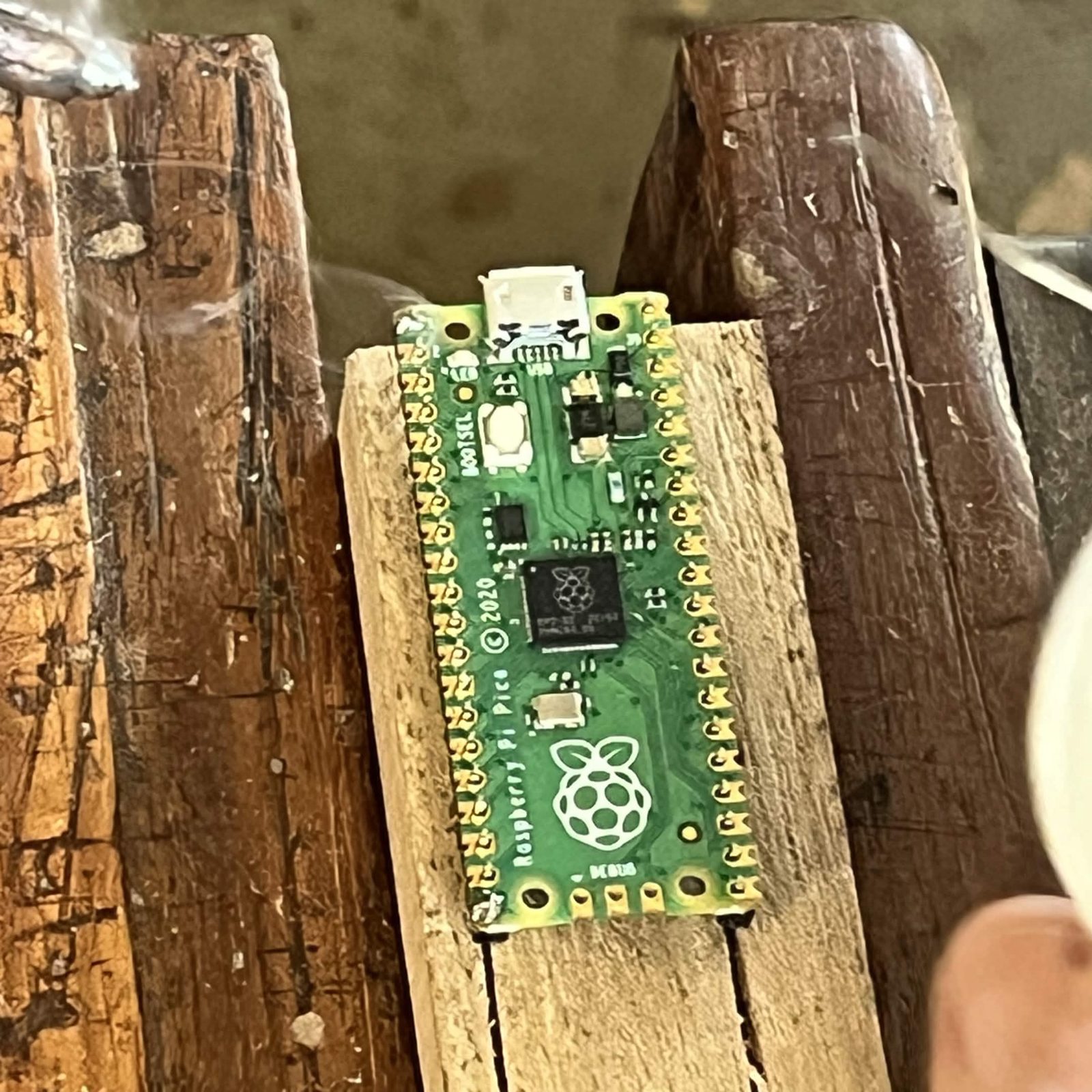 The wooden block with the Pico standing on it, clamped between the jaws of a vice